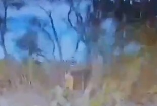 Сили оборони України звільнили Кіндратівку на Сумщині (відео)
